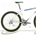 sunncat98-25.jpg
