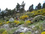 Foto 009.JPG