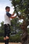 puig den valls 019.jpg