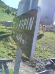 Aspin 3.jpg