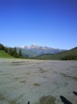 Aspin 4.jpg