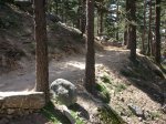 DSCN5488.JPG