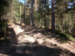 DSCN5495.JPG