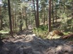 DSCN5496.JPG