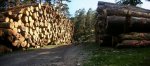Panorama 2.JPG