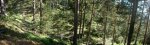 Panorama 3.JPG