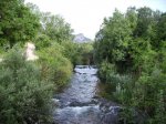 IMG_0004.jpg