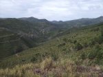 IMG_0007.jpg