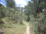DSCN4684 (Medium).JPG