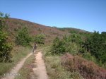DSC00005.jpg