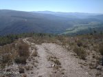 DSC00007.jpg