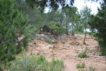 bttmontroi_0805.jpg