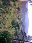 Imagen014.jpg