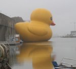 patito-gigante-de-goma.jpg