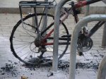 imagenes 1-6-09 186.jpg