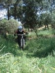 DSC03704.JPG