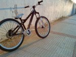 DSC00300.jpg