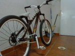 DSC00303.jpg
