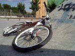 DSC00407.jpg
