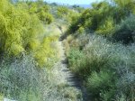 DSC00150.jpg