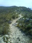 DSC00156.jpg