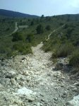 DSC00157.jpg
