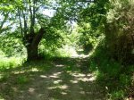 DSCN1284 (Large).JPG