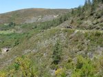 DSCN1300 (Large).JPG