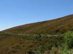 DSCN1306 (Large).JPG