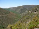 DSCN1317 (Large).JPG