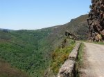 DSCN1324 (Large).JPG