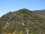 DSCN1325 (Large).JPG