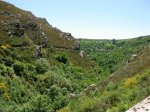 DSCN1333 (Large).JPG