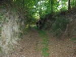 DSCN1362 (Large).JPG