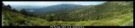pano pinar de la jarosa.jpg