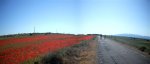 Panorama 1 (Medium).JPG
