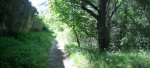Panorama 6 (Medium).JPG
