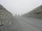 DSCN6719.jpg