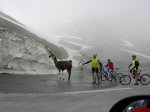 DSCN6736.jpg