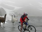 DSCN6738.jpg