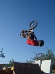DSC08775.jpg