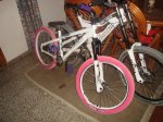 DSC08789.jpg