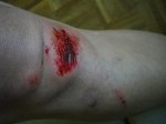 IMGP0372.jpg
