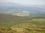Image_001.JPG