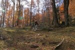 IMG_4257.jpg