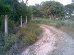 Ciclosport(120).jpg