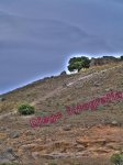 hdr1.jpg