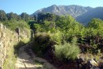 DSC03861.jpg