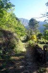 DSC03862.jpg