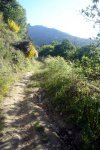 DSC03863.jpg